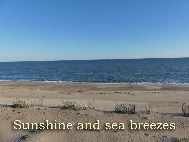 708 Palmetto Blvd, Edisto Island, SC 29438