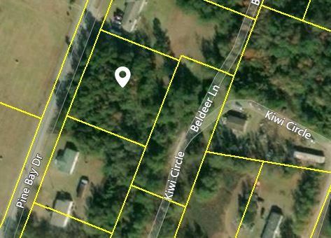 0 Pine Bay Dr, Saint Stephen, SC 29479
