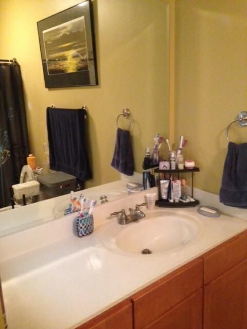 1520 Basildon Rd, Mount Pleasant, SC 29466
