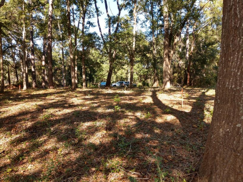 7 Old Bay Rd, Edisto Island, SC 29438