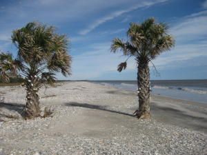 33 Jeremy Cay, Edisto Island, SC 29438