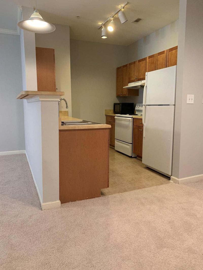 400 Bucksley Ln #310, Charleston, SC 29492