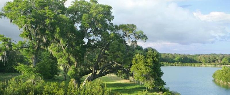 4150 Gnarled Oaks Ln, Johns Island, SC 29455
