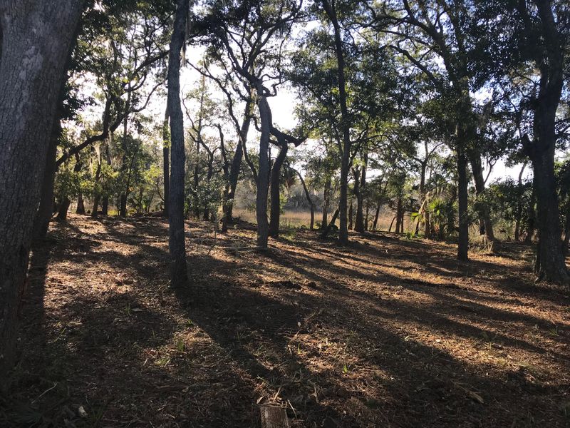 3j Cape Palmetto Trl, Edisto Island, SC 29438