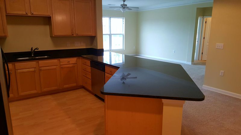 1030 Jack Primus Rd #8303, Charleston, SC 29492