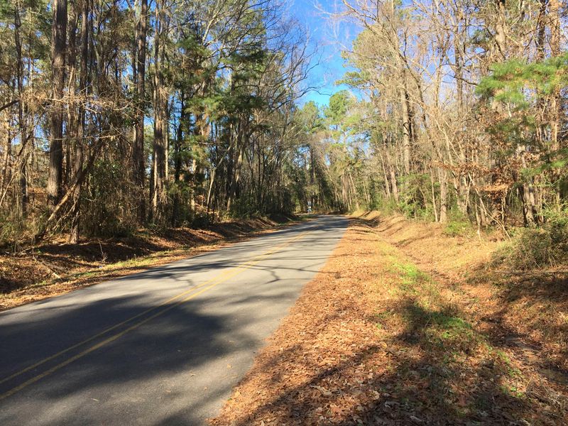 0 Swan Dr, Summerville, SC 29483