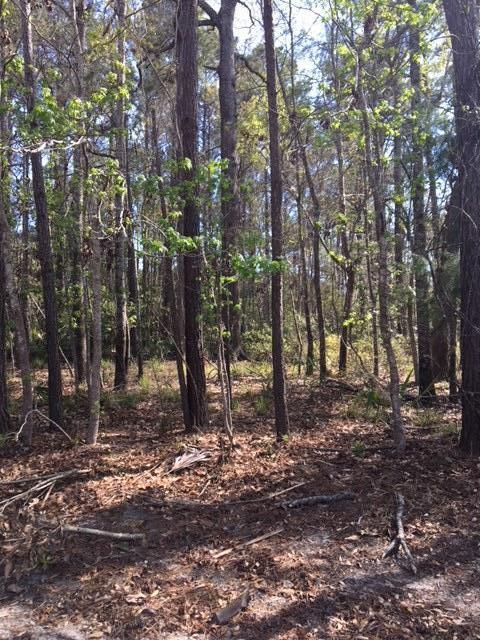 4132 Colonel Vanderhorst Cir, Mount Pleasant, SC 29466
