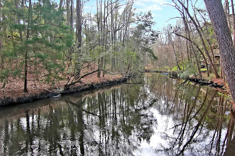 1177 Michelle Ln, Johns Island, SC 29455