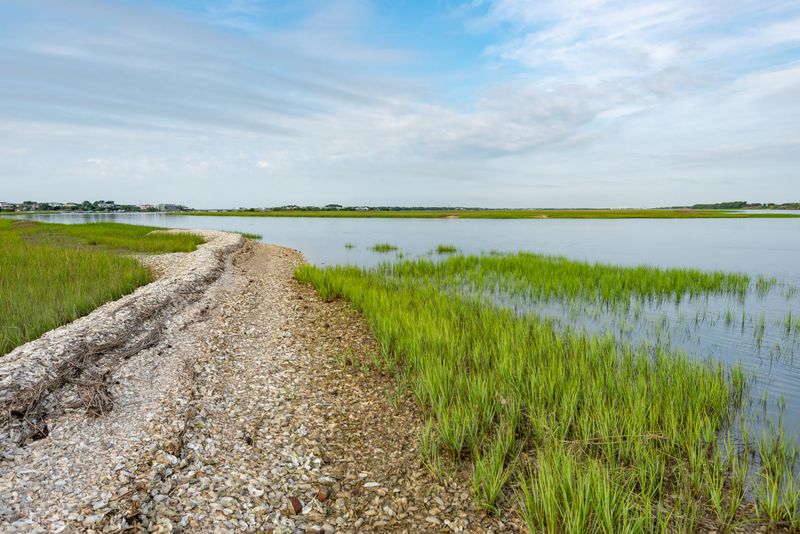 0 Little Goat Island, Isle Of Palms, SC 29451