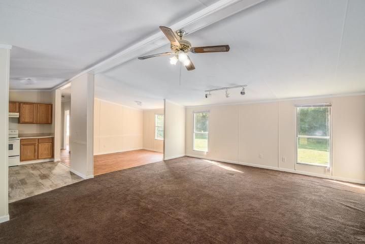 157 Hammock St, Summerville, SC 29483