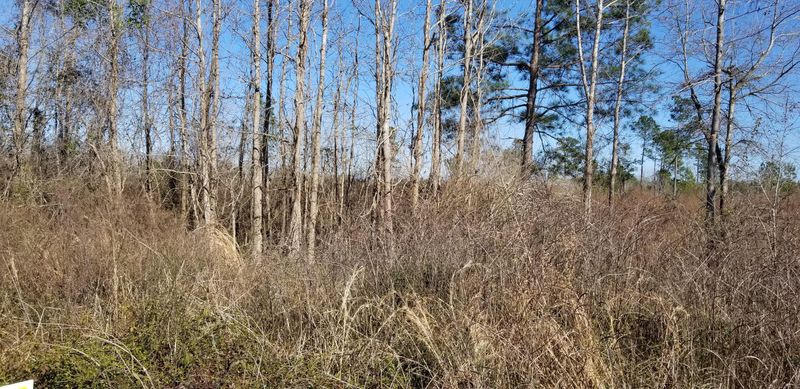 1 Independent School Rd, Reevesville, SC 29471