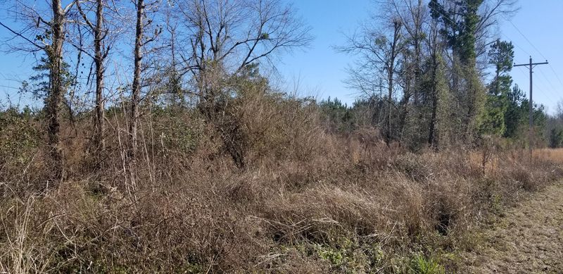 2 Independent School Rd, Reevesville, SC 29471