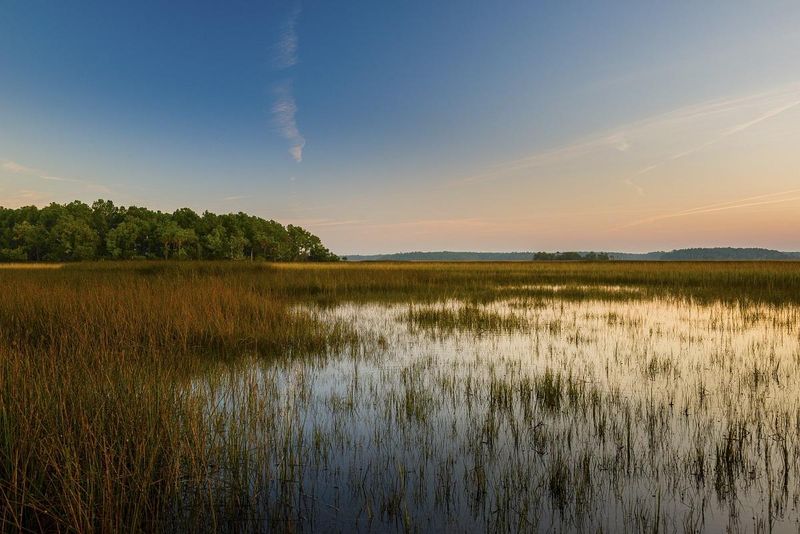 145 Nobels Point, Daniel Island, SC 29492