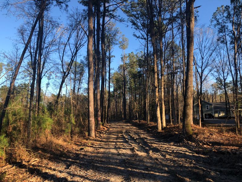 298 Angel Oak Dr, Bonneau, SC 29431