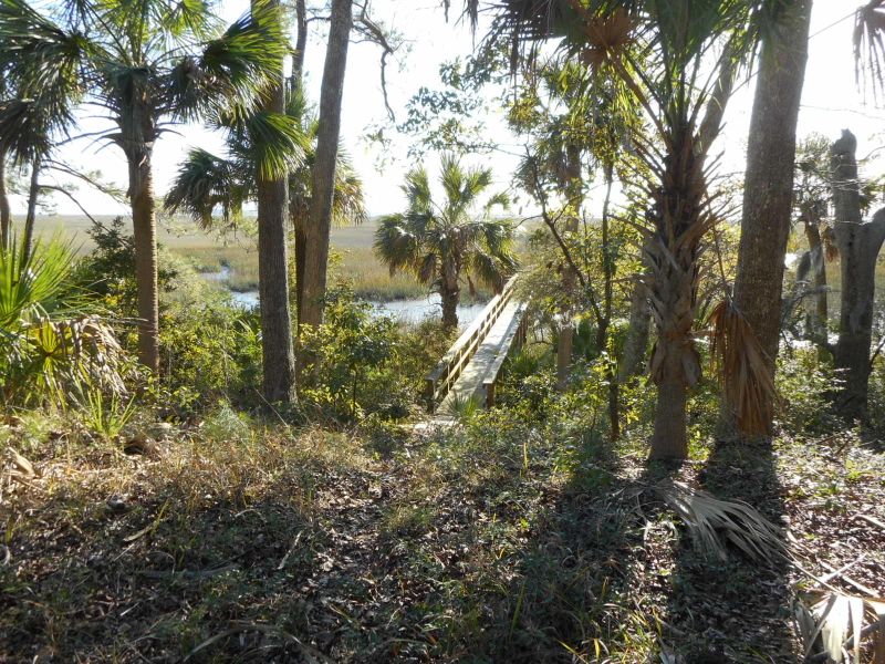 28 Bailey Island Ln, Edisto Island, SC 29438