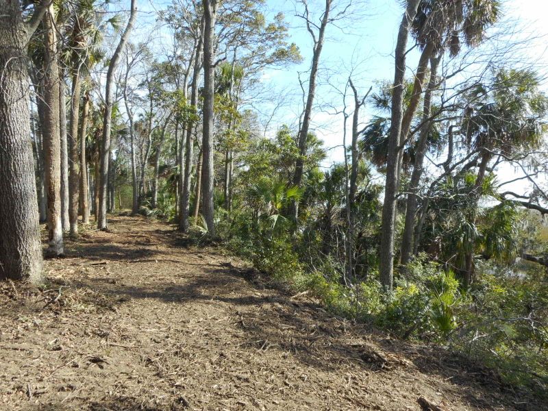 28 Bailey Island Ln, Edisto Island, SC 29438