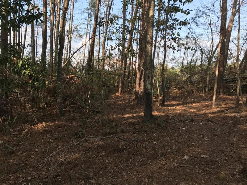 0 Jumbi Ace Trl, Johns Island, SC 29455