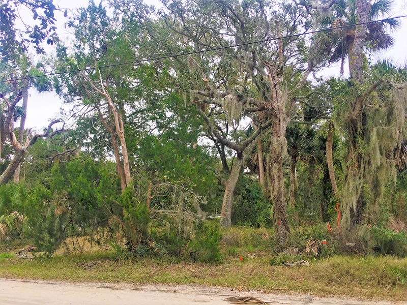 301 Jungle Rd, Edisto Island, SC 29438