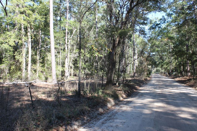 8610 Raccoon Island Rd, Edisto Island, SC 29438