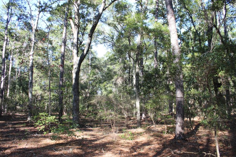 8610 Raccoon Island Rd, Edisto Island, SC 29438