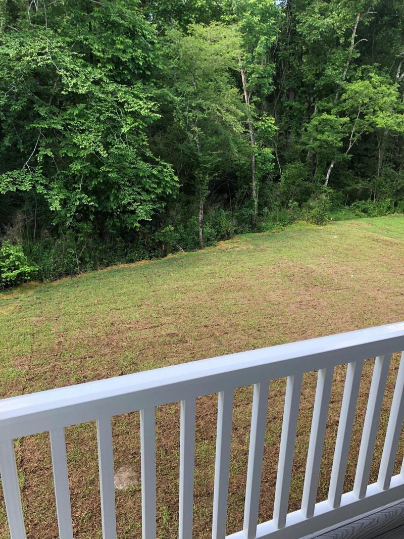 111 Claret Cup Way, Charleston, SC 29414