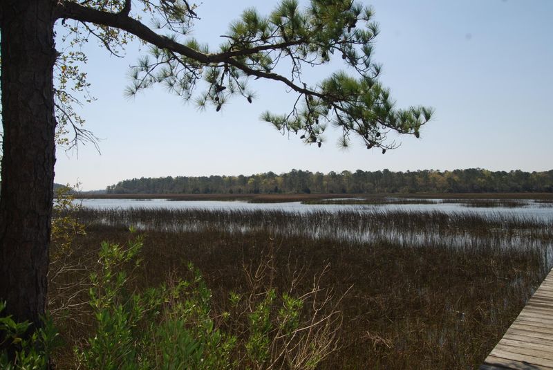 0 Park Island Rd, Meggett, SC 29449