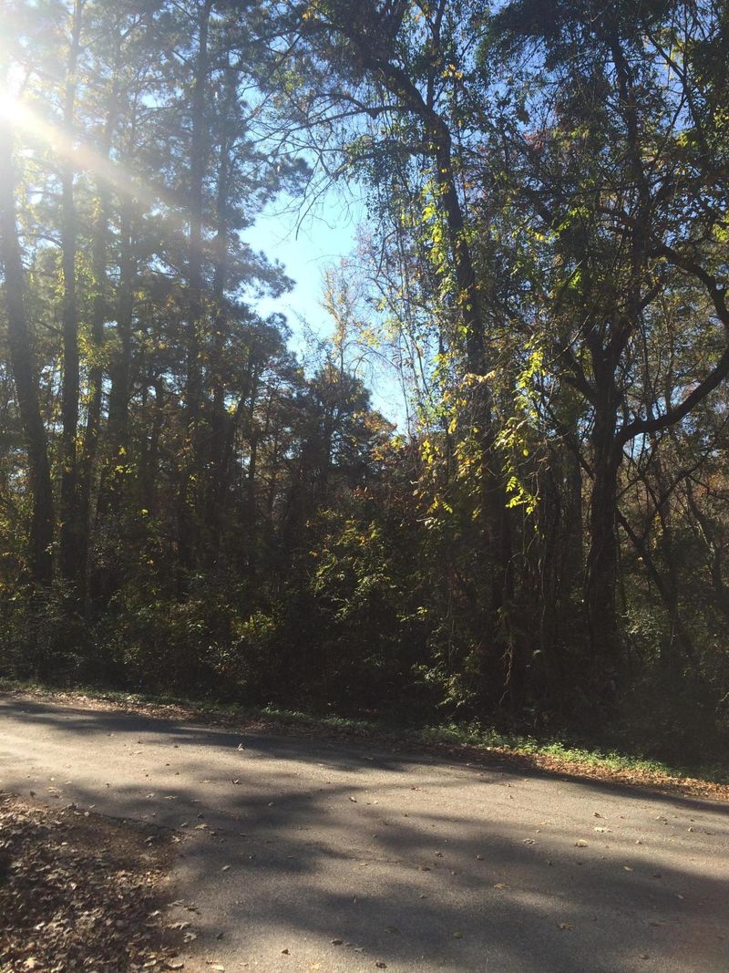 0 Hayes Rd, Summerville, SC 29483