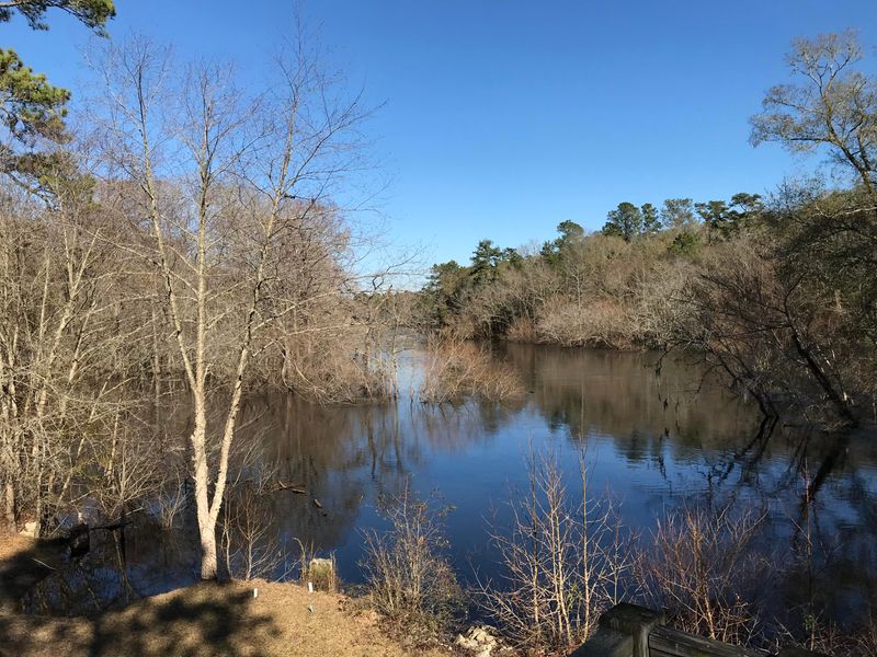 2165 Sullivans Ferry Rd, Ridgeville, SC 29472