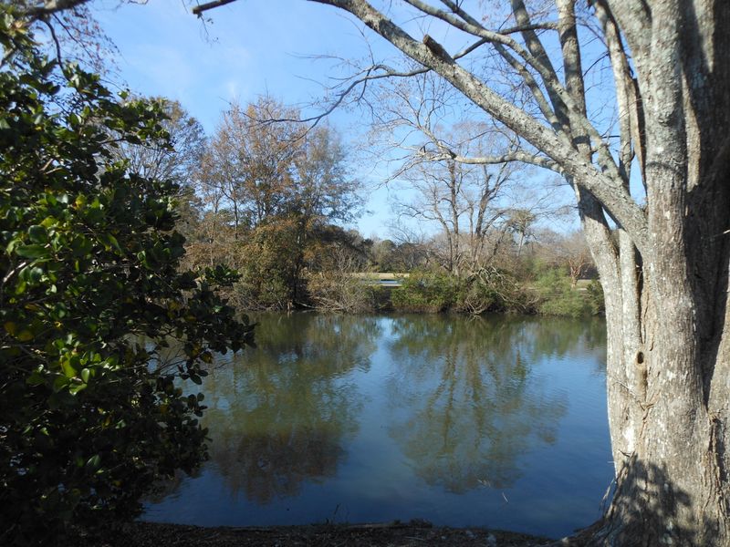 808 Ventura Pl, Mount Pleasant, SC 29464