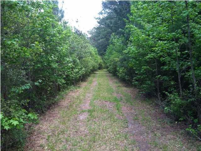 117 Brocks Way, Saint Stephen, SC 29479