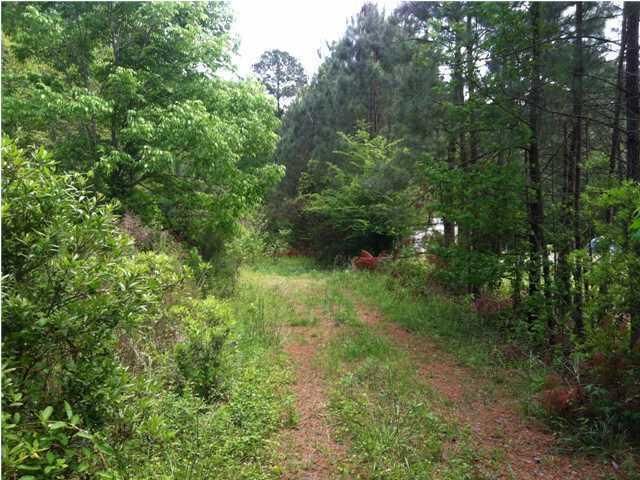 117 Brocks Way, Saint Stephen, SC 29479