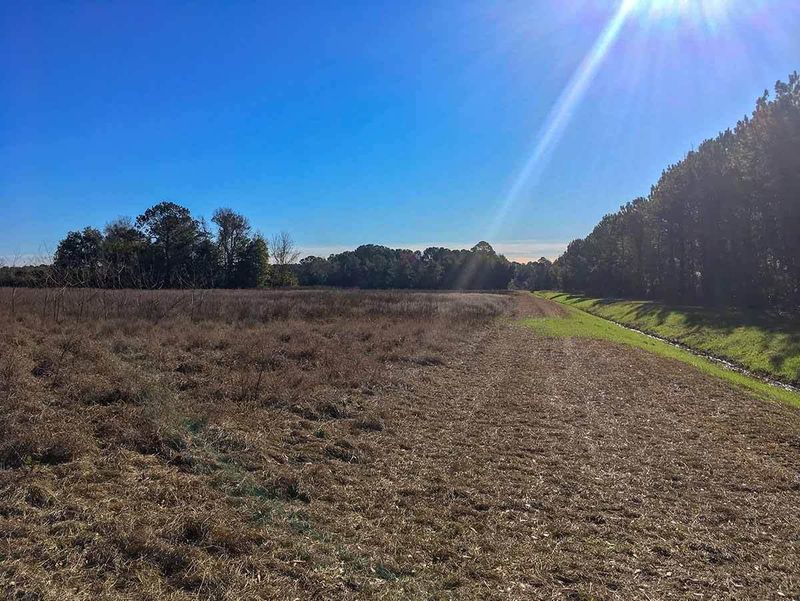 3831 Betsy Kerrison Pw, Johns Island, SC 29455