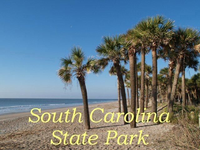 3406 Myrtle St, Edisto Island, SC 29438
