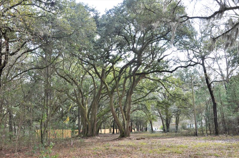 0 Cape Rd, Johns Island, SC 29455