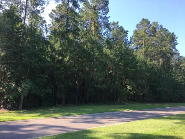0 Briar Bend Rd, Ridgeville, SC 29472