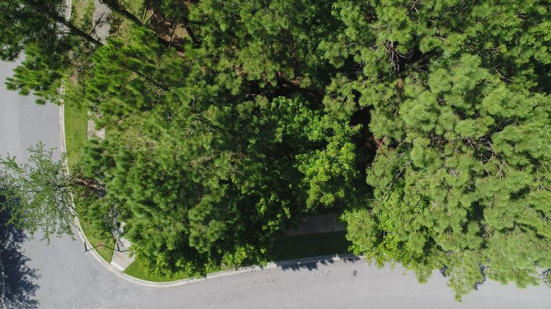 301 Gunboat Ln, Daniel Island, SC 29492