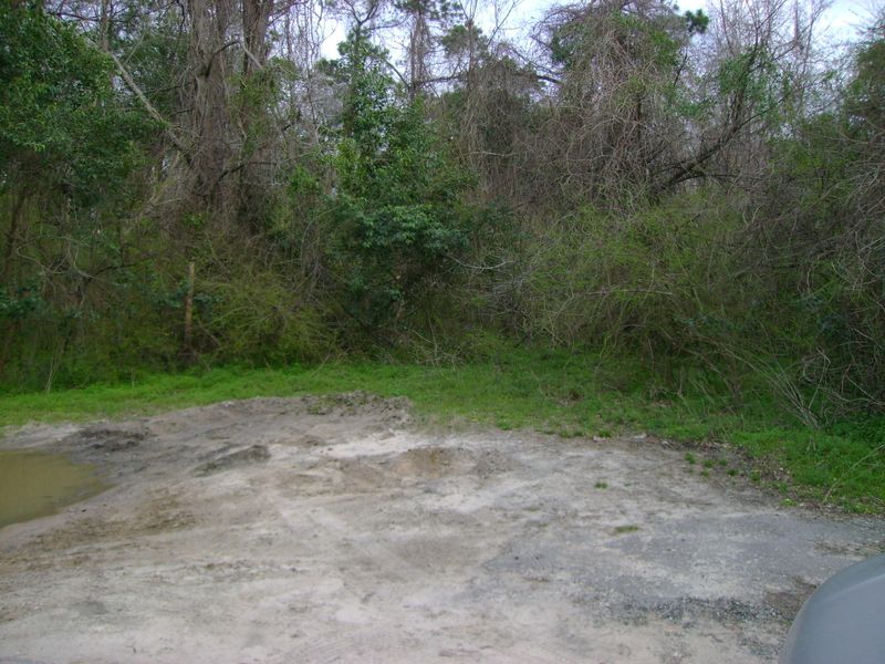 01 Mitton Rd, Moncks Corner, SC 29461