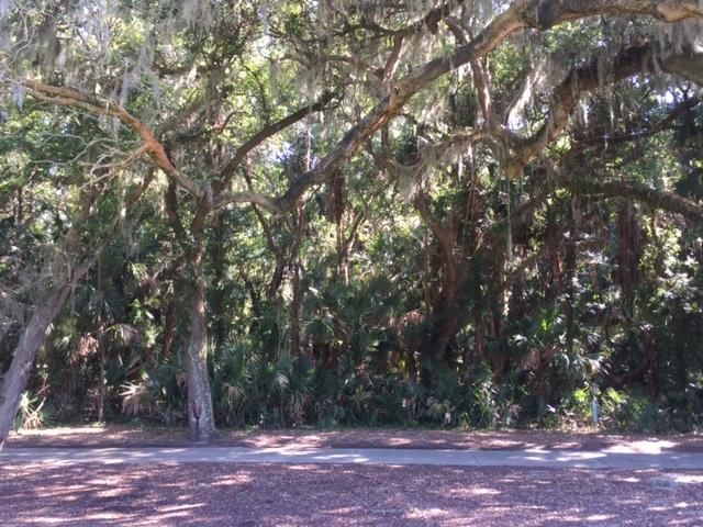 231 Fish Hawk Ln, Kiawah Island, SC 29455