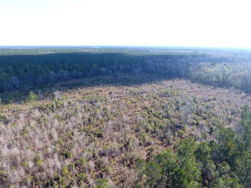 0 Marion Woods Trl, Cordesville, SC 29434