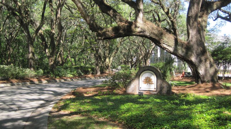 60 Fenwick Hall Allee Al #621, Johns Island, SC 29455