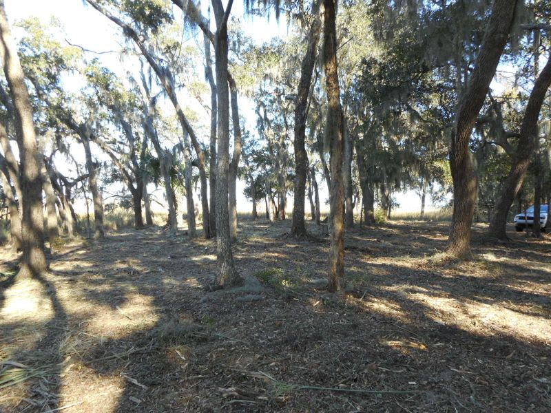 1 Turtle Hill Ln, Edisto Island, SC 29438