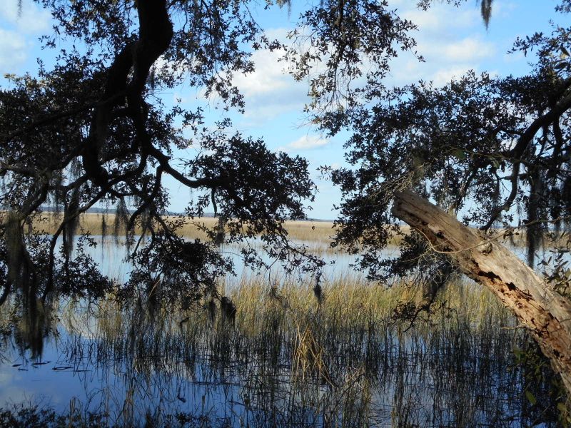 1 Turtle Hill Ln, Edisto Island, SC 29438