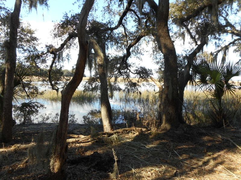 1 Turtle Hill Ln, Edisto Island, SC 29438