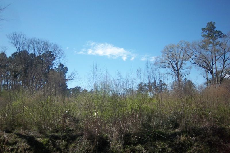 0 Lot 3 Salem Rd, Dorchester, SC 29437