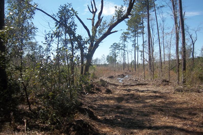 Lot 5 Salem Rd, Dorchester, SC 29437