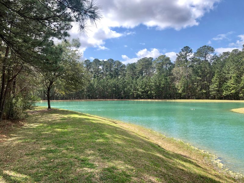 Lot 2 Ten Shillings Way, Hollywood, SC 29470