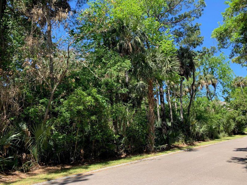 3136 Laughing Gull Ct, Johns Island, SC 29455