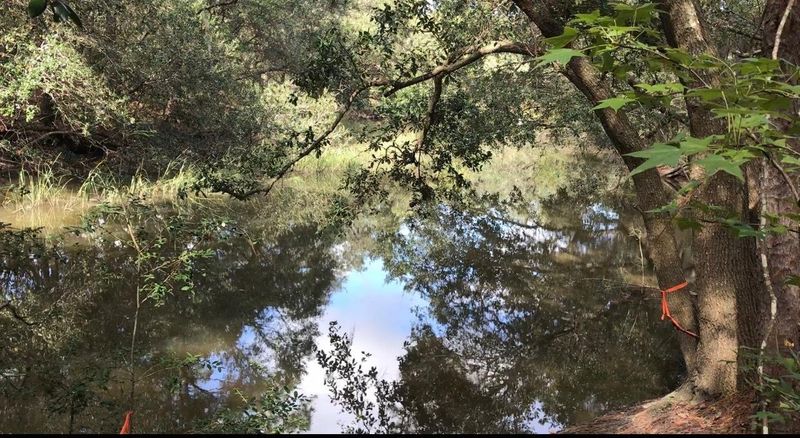 2798 Burden Creek Rd, Johns Island, SC 29455
