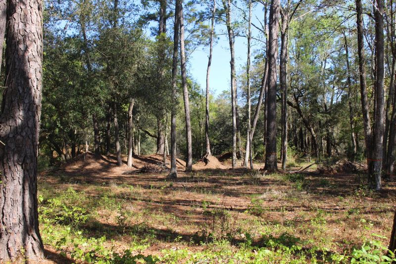 2798 Burden Creek Rd, Johns Island, SC 29455