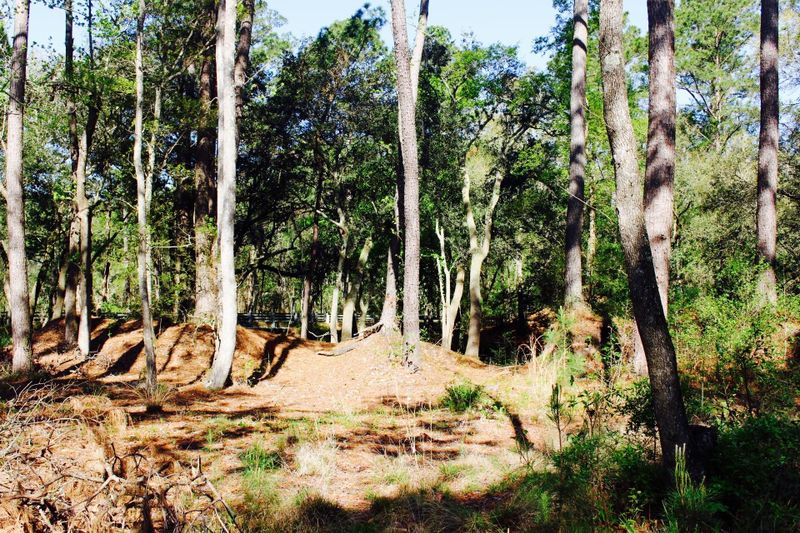 2798 Burden Creek Rd, Johns Island, SC 29455